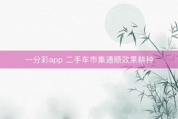 一分彩app 二手车市集通顺效果耕种